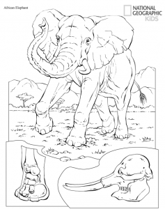 Free Printable Animals Coloring Pages From National Geographic Kids