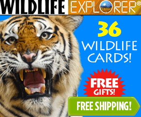 Freebies When You Sign Up For Wildlife Explorer Children's Learning Cards
